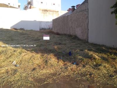 imagem-miniatura