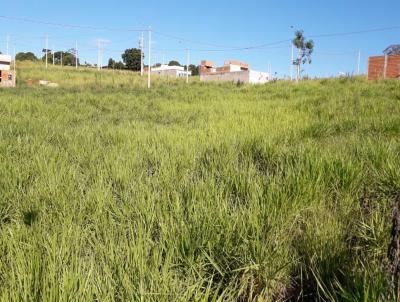 imagem-miniatura