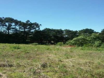 Chcara para Venda, em lvares Machado, bairro rea Rural