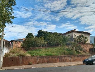 imagem-miniatura