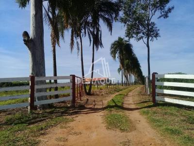 Chcara para Venda, em Regente Feij, bairro rea Rural