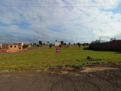 imagem-miniatura