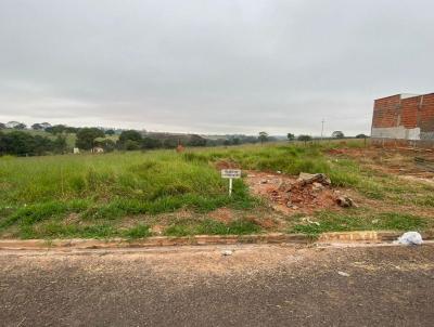 Terreno para Venda, em Indiana, bairro Amlia Ribeiro 03