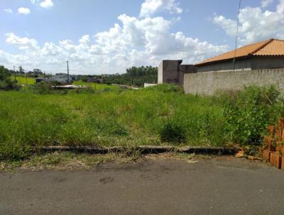imagem-miniatura