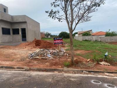 imagem-miniatura