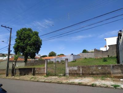imagem-miniatura