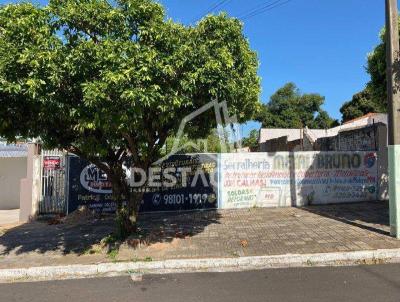 imagem-miniatura