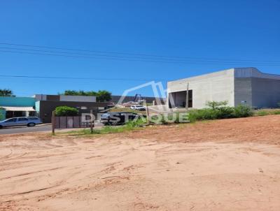 imagem-miniatura