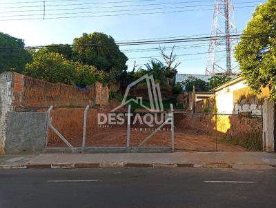 imagem-miniatura