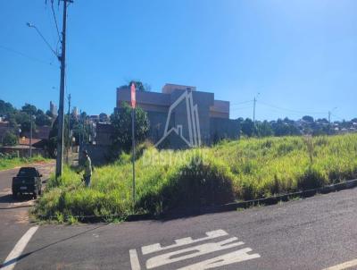 imagem-miniatura