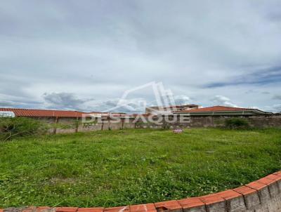 imagem-miniatura