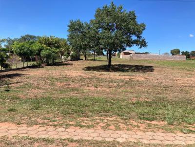 imagem-miniatura