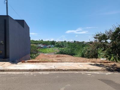 imagem-miniatura