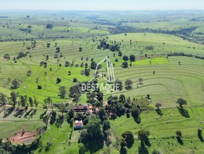 imagem-miniatura