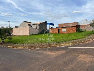 imagem-miniatura