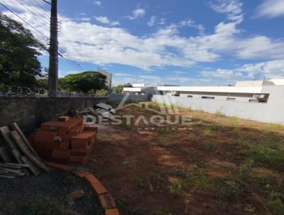 imagem-miniatura