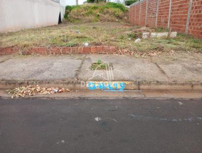 imagem-miniatura
